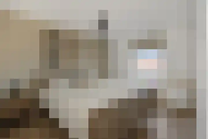 Utrechtstraat 18 Deurne thumbnail 20