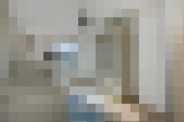 Utrechtstraat 18 Deurne thumbnail 23