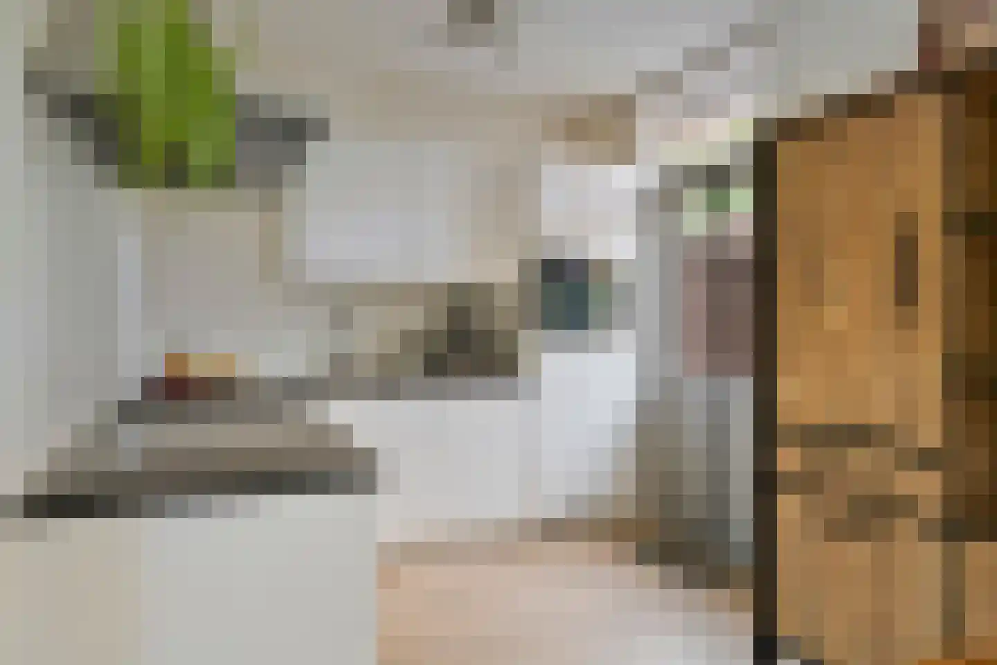 Utrechtstraat 6 Deurne thumbnail 15