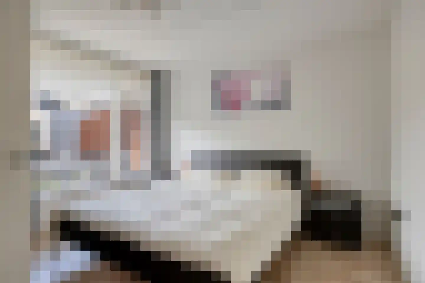 Utrechtstraat 6 Deurne thumbnail 18