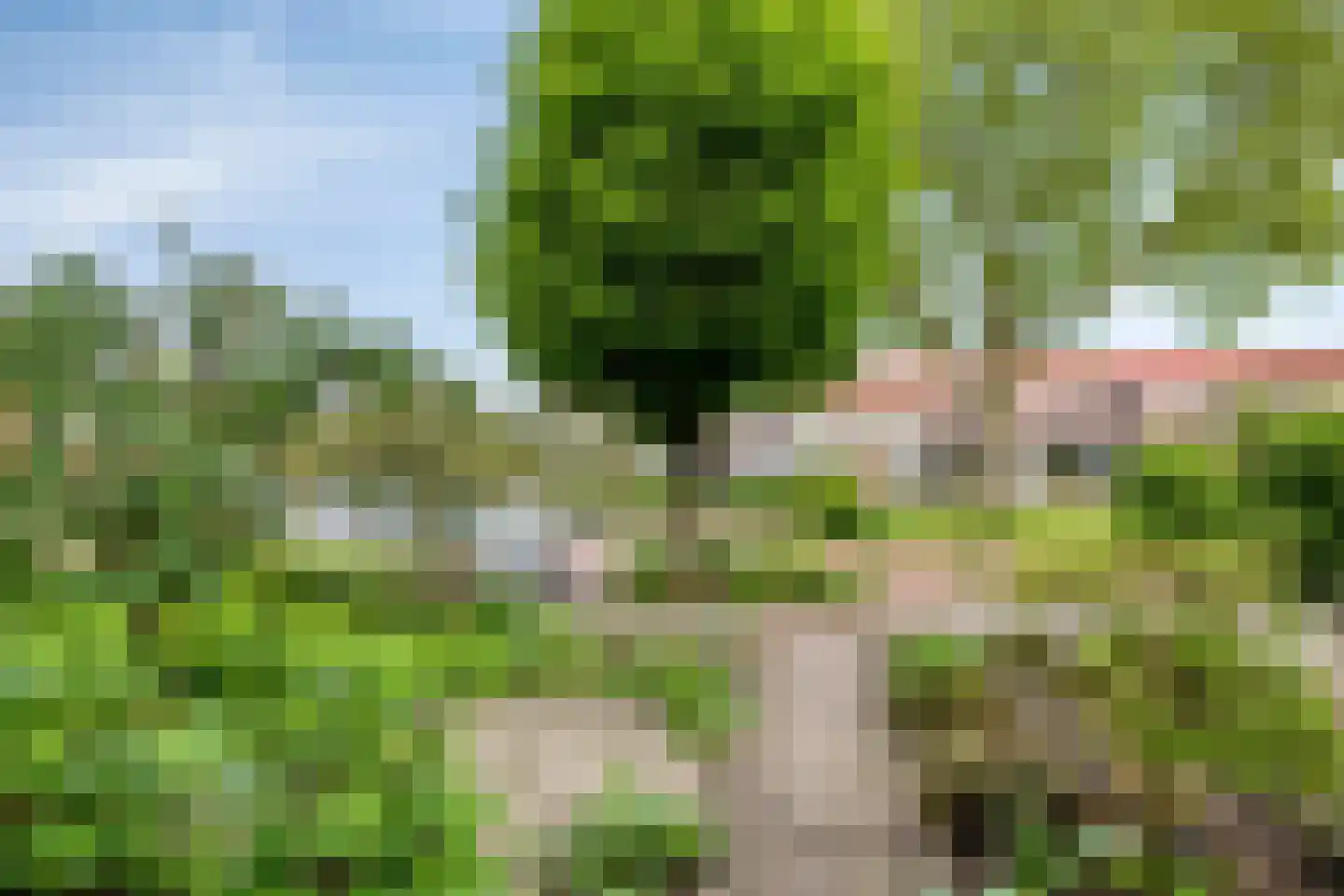 Utrechtstraat 6 Deurne thumbnail 31