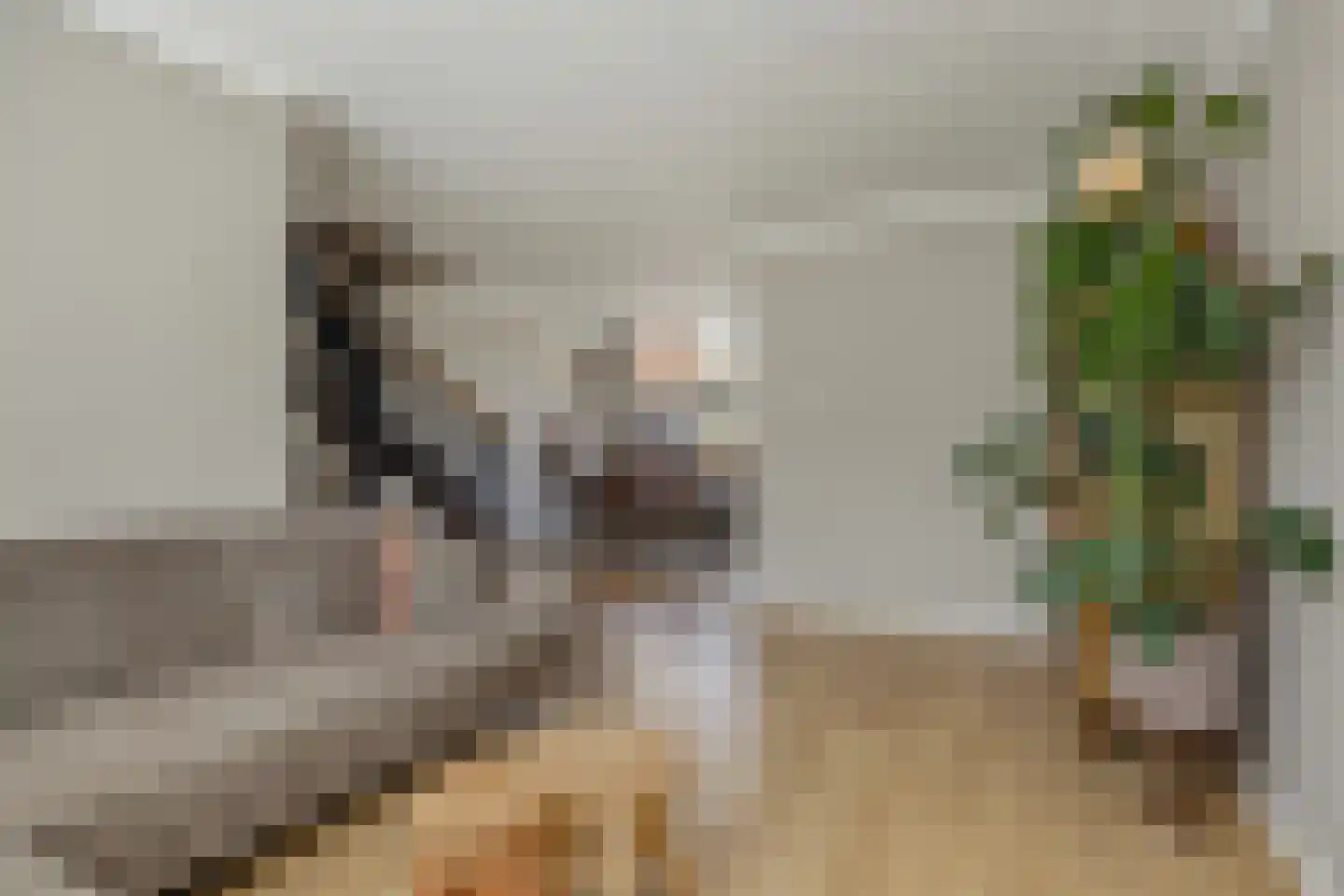 Utrechtstraat 7 's-Hertogenbosch thumbnail 8
