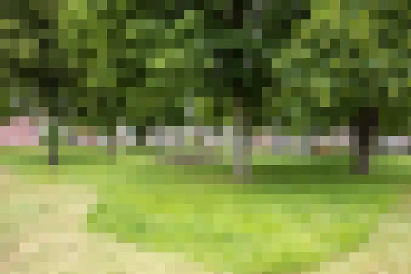 Utrechtstraat 9 's-Hertogenbosch thumbnail 25