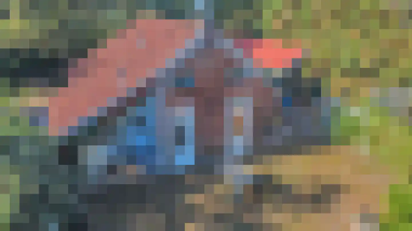 Utterlagerweg 14 Vlagtwedde thumbnail 10