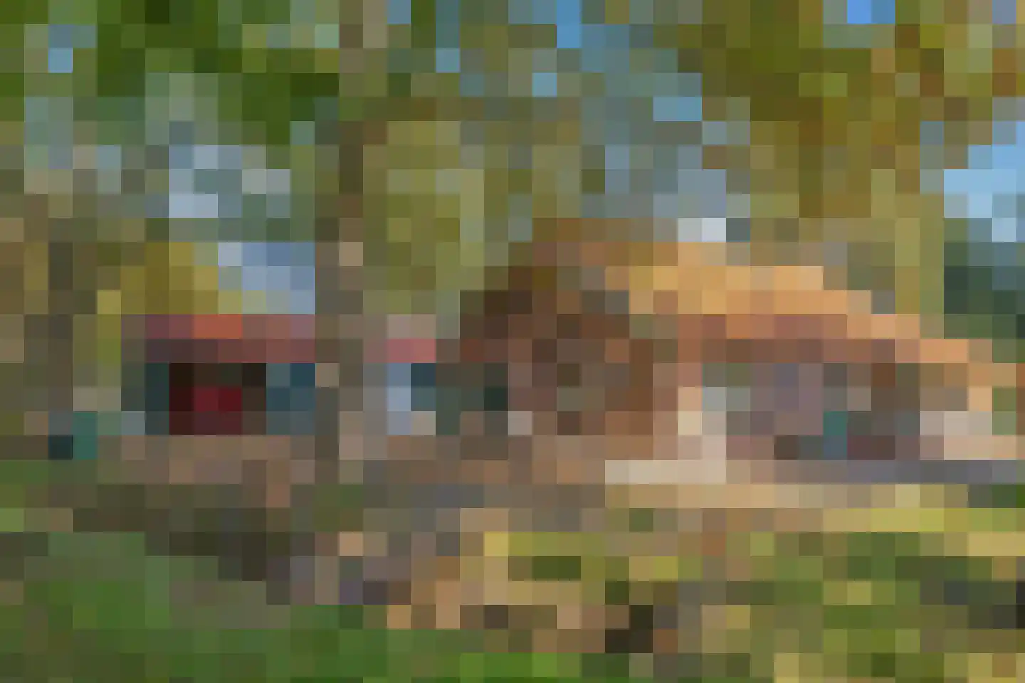 Utterlagerweg 14 Vlagtwedde thumbnail 5