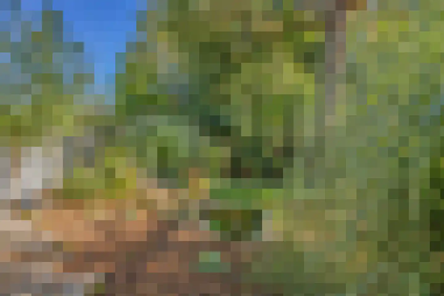 Utterlagerweg 14 Vlagtwedde thumbnail 55