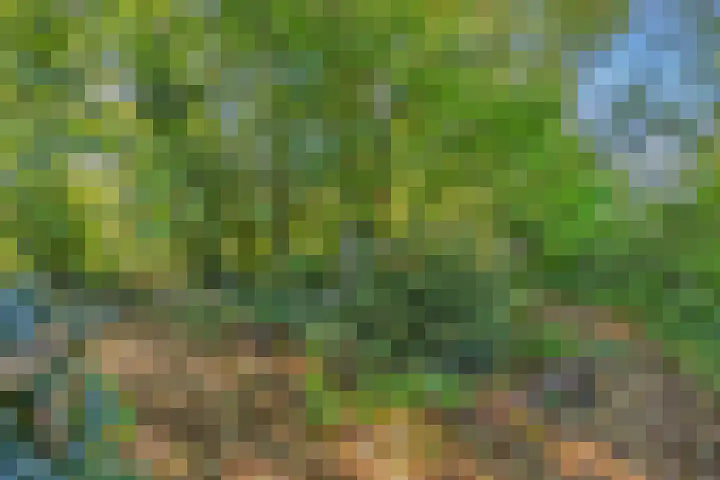 Utterlagerweg 14 Vlagtwedde thumbnail 59