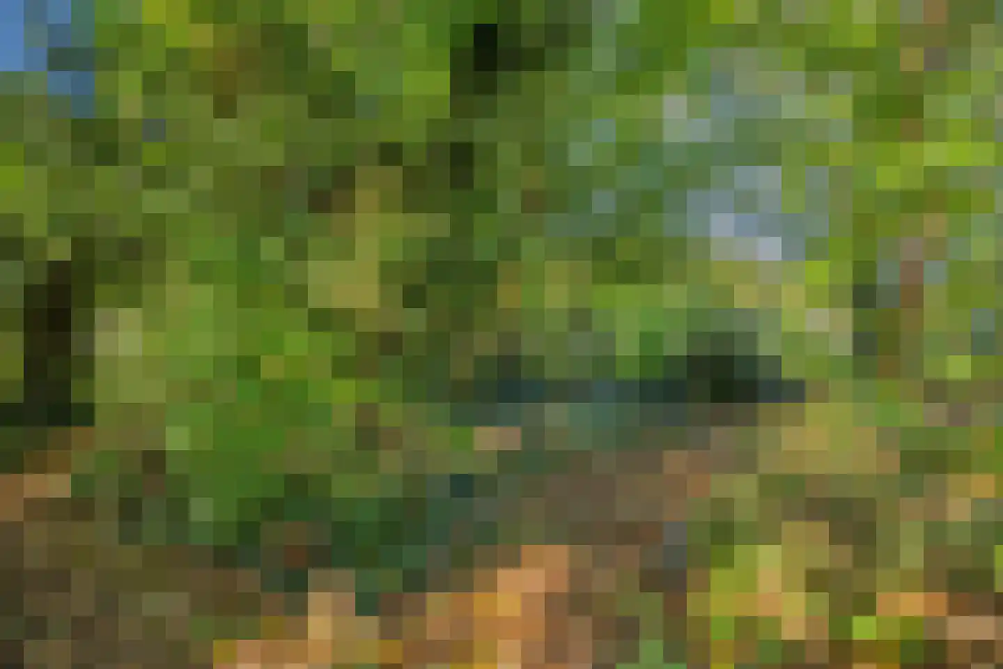 Utterlagerweg 14 Vlagtwedde thumbnail 60