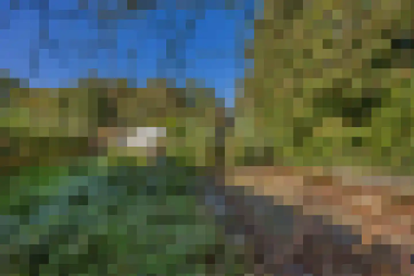 Utterlagerweg 14 Vlagtwedde thumbnail 61