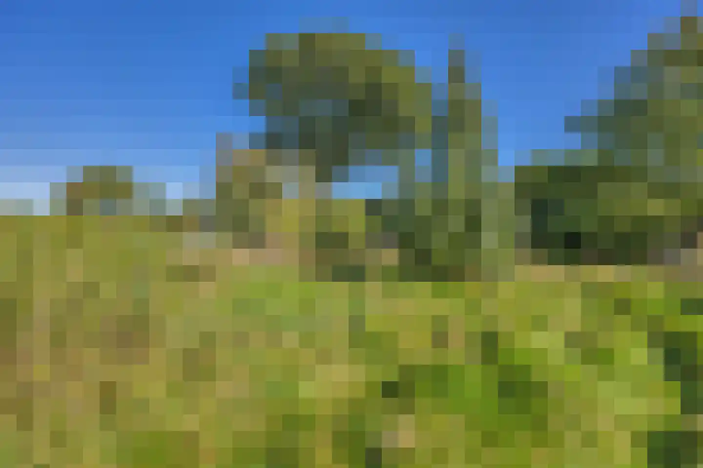 Utterlagerweg 14 Vlagtwedde thumbnail 63