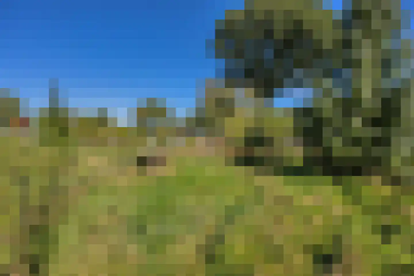 Utterlagerweg 14 Vlagtwedde thumbnail 65