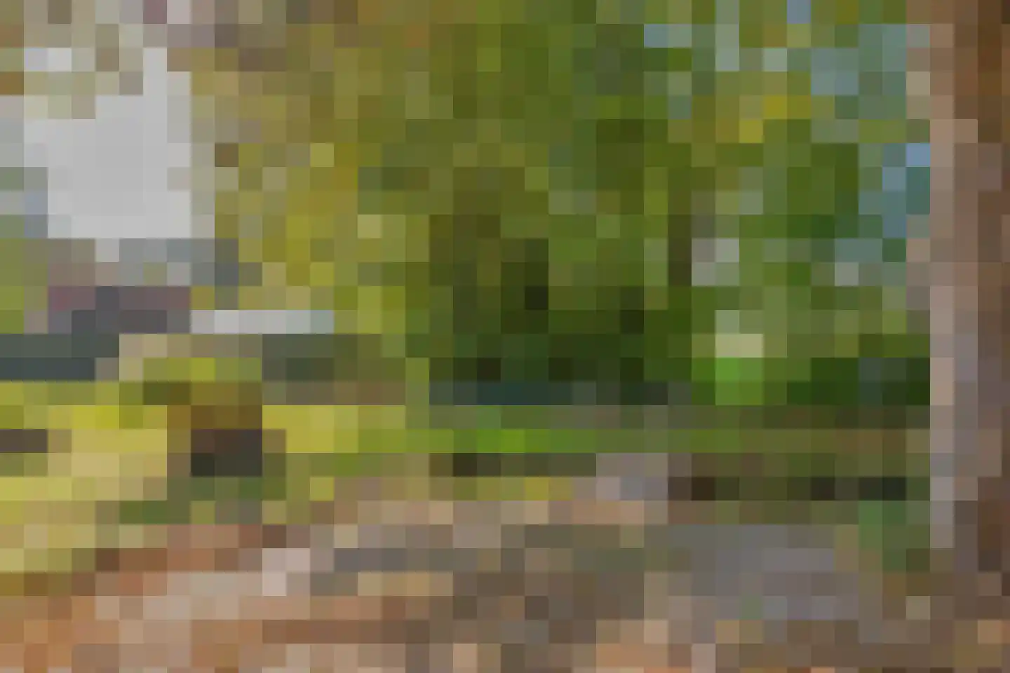 Utterlagerweg 14 Vlagtwedde thumbnail 67