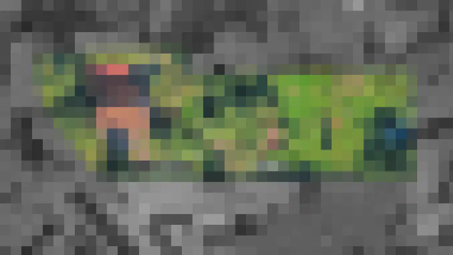Utterlagerweg 14 Vlagtwedde thumbnail 69