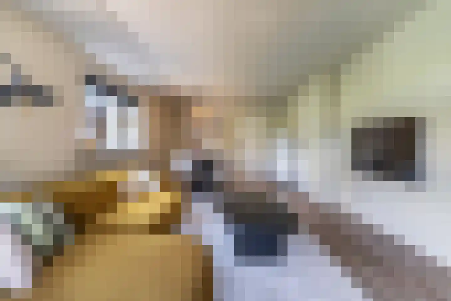 Uttilochweg 20 A Uddel thumbnail 14