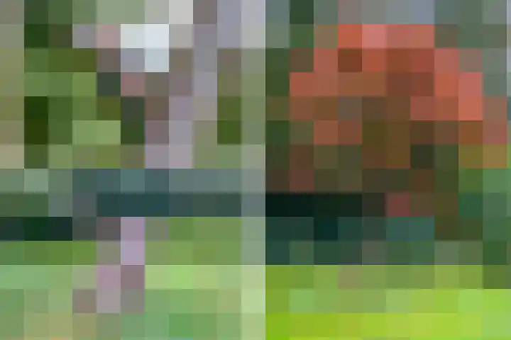 Uutlangen 15 Westerbork thumbnail 31