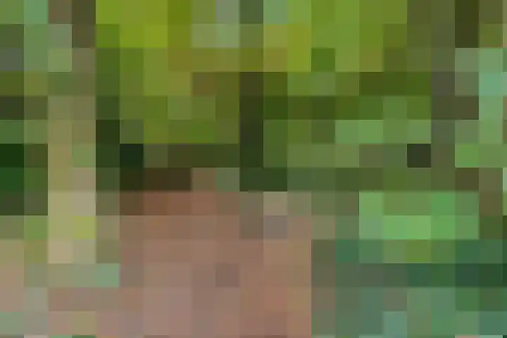Uutlangen 15 Westerbork thumbnail 33