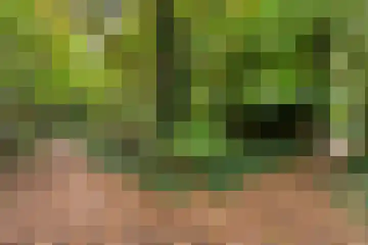 Uutlangen 15 Westerbork thumbnail 34