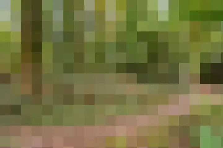 Uutlangen 15 Westerbork thumbnail 35