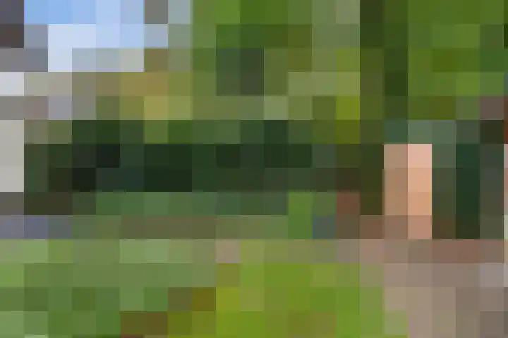 Uutlangen 15 Westerbork thumbnail 37