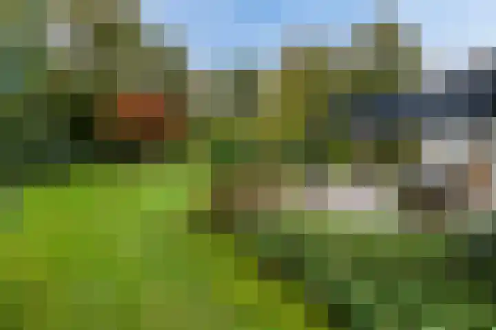 Uutlangen 15 Westerbork thumbnail 39