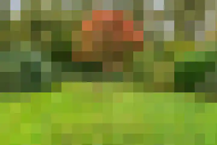 Uutlangen 15 Westerbork thumbnail 40