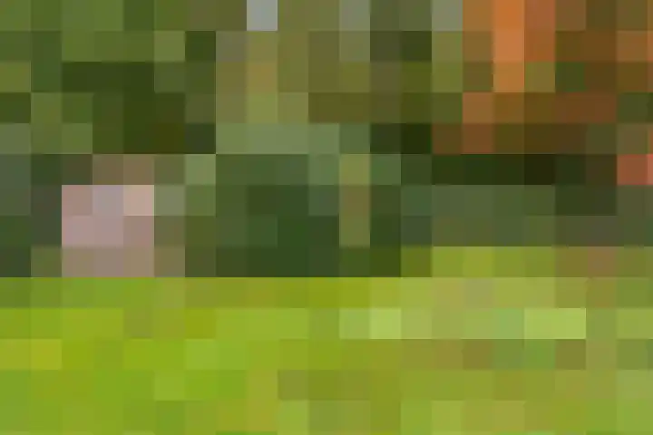Uutlangen 15 Westerbork thumbnail 41