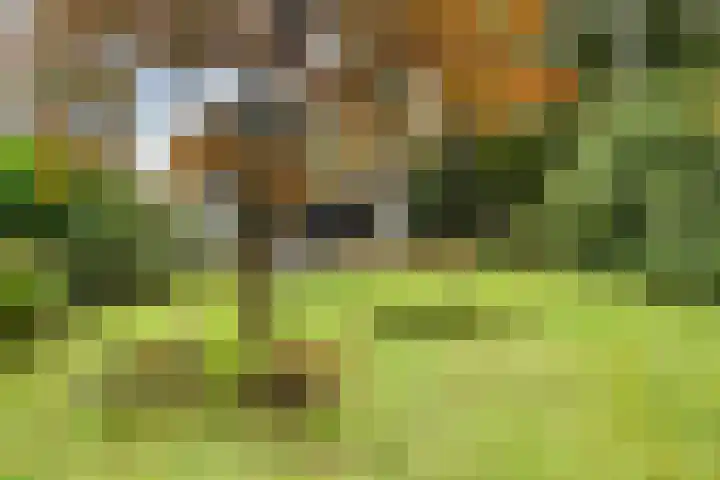 Uutlangen 15 Westerbork thumbnail 43