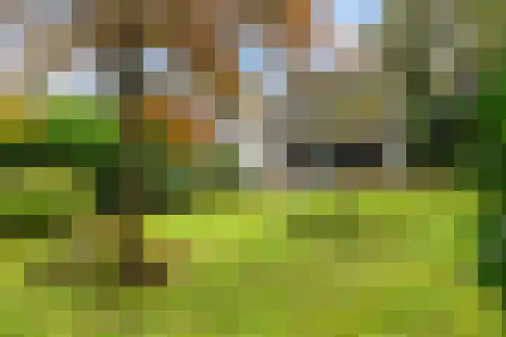 Uutlangen 15 Westerbork thumbnail 44