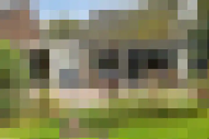 Uutlangen 15 Westerbork thumbnail 46