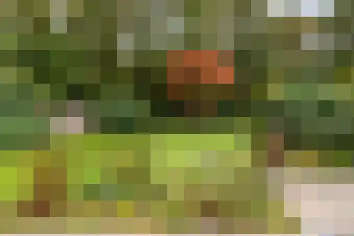 Uutlangen 15 Westerbork thumbnail 48
