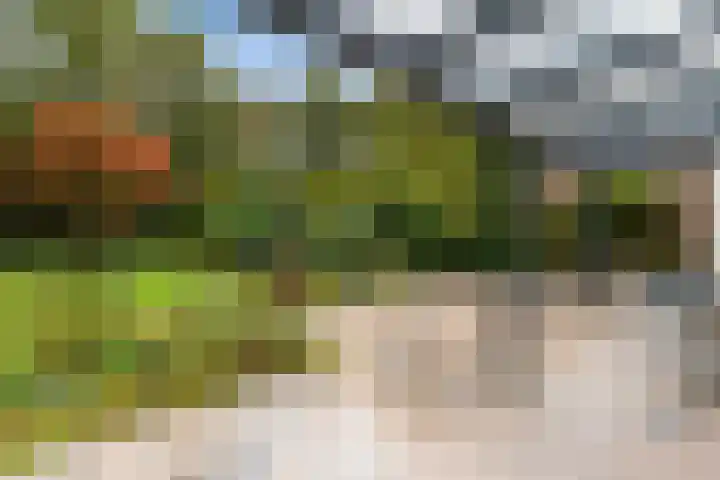 Uutlangen 15 Westerbork thumbnail 49