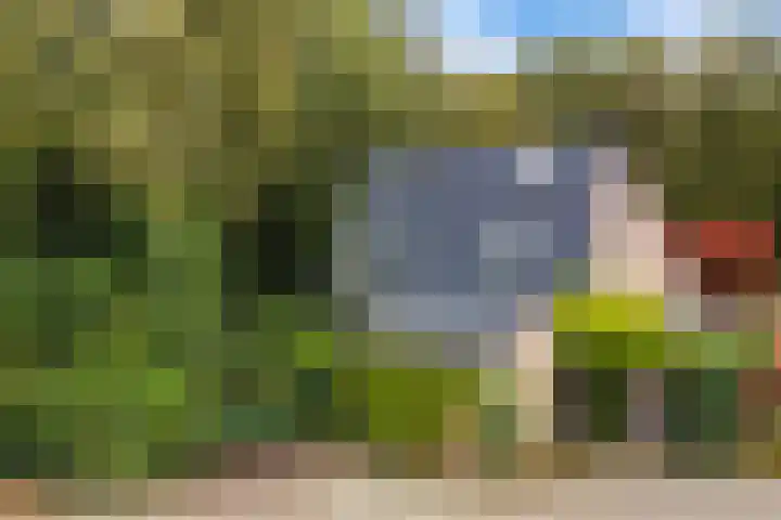 Uutlangen 15 Westerbork thumbnail 50