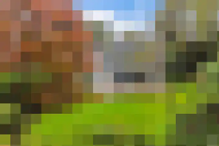 Uutlangen 15 Westerbork thumbnail 52