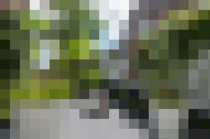 Uutlangen 30 Westerbork thumbnail 25