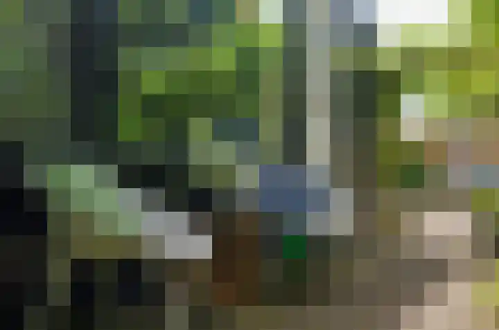 Uutlangen 30 Westerbork thumbnail 29