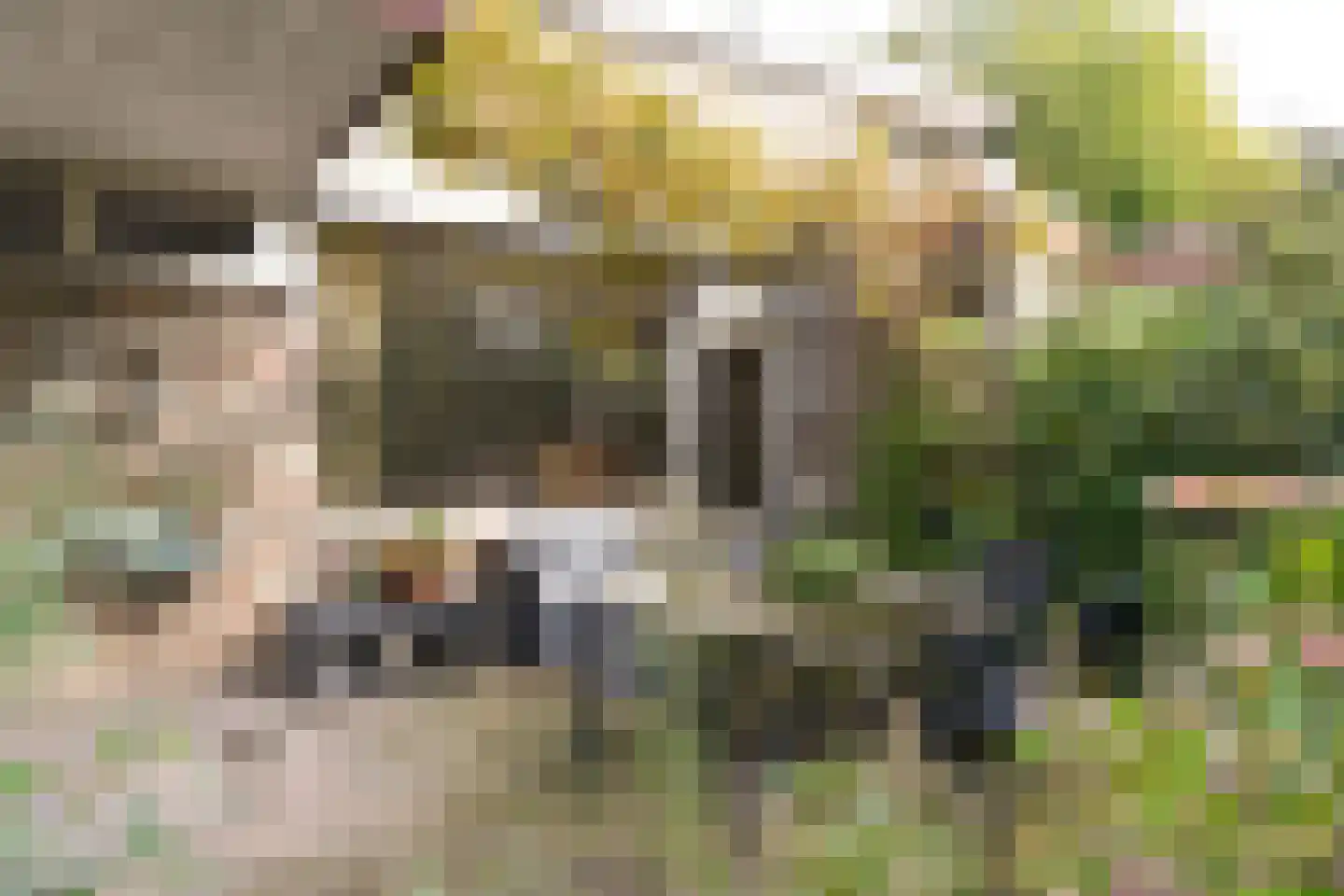 Uytenbosch 14 Baarn thumbnail 18