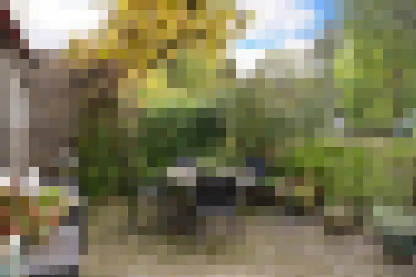 Uytenbosch 14 Baarn thumbnail 25
