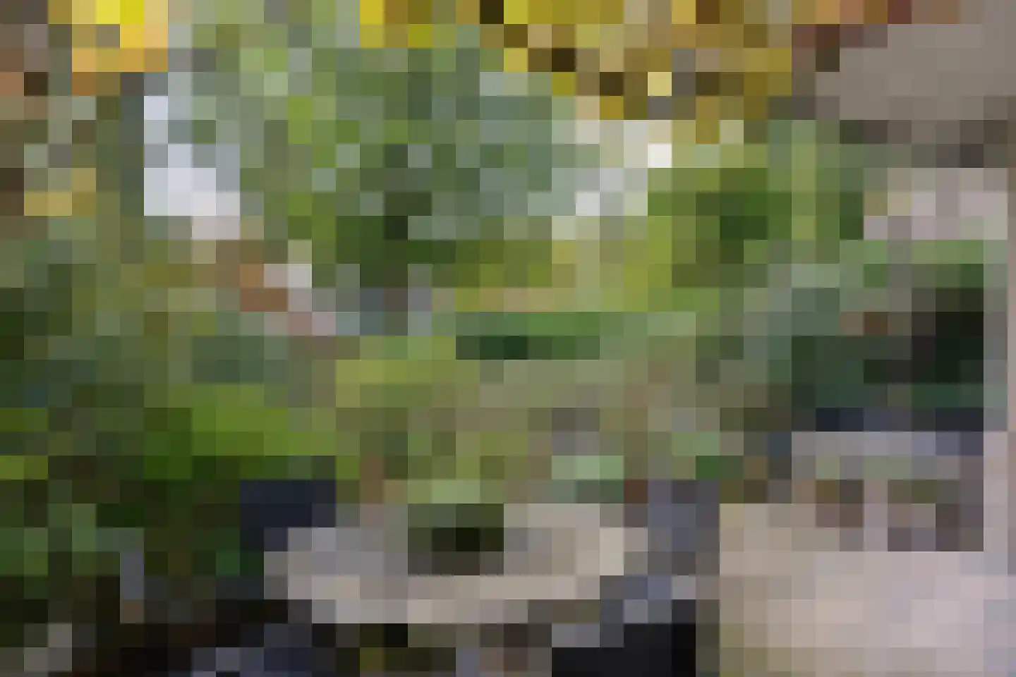 Uytenbosch 14 Baarn thumbnail 26