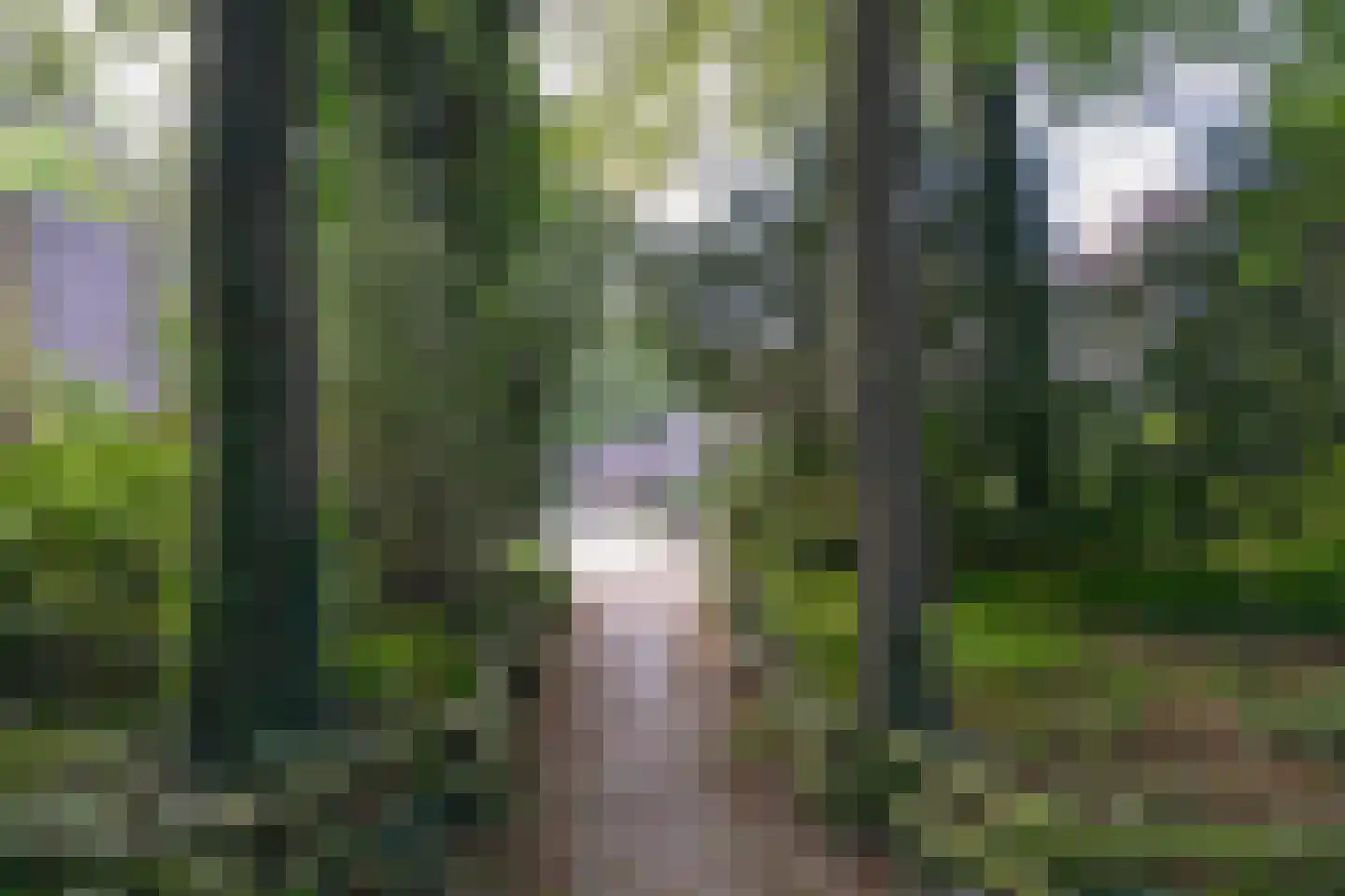 Uytenbosch 14 Baarn thumbnail 31