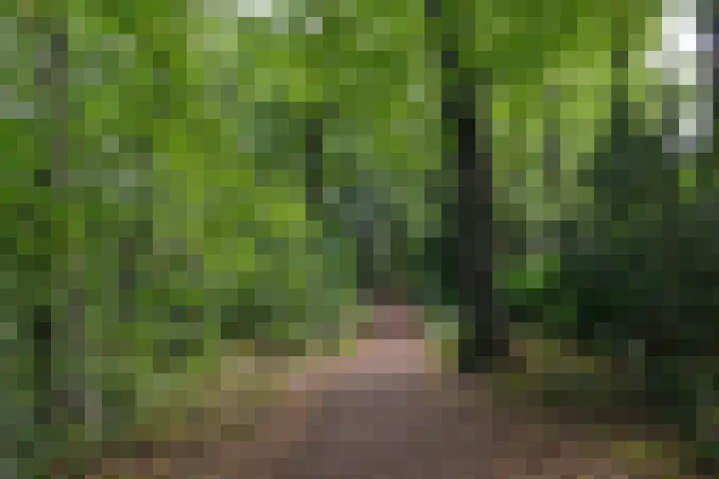 Uytenbosch 14 Baarn thumbnail 32