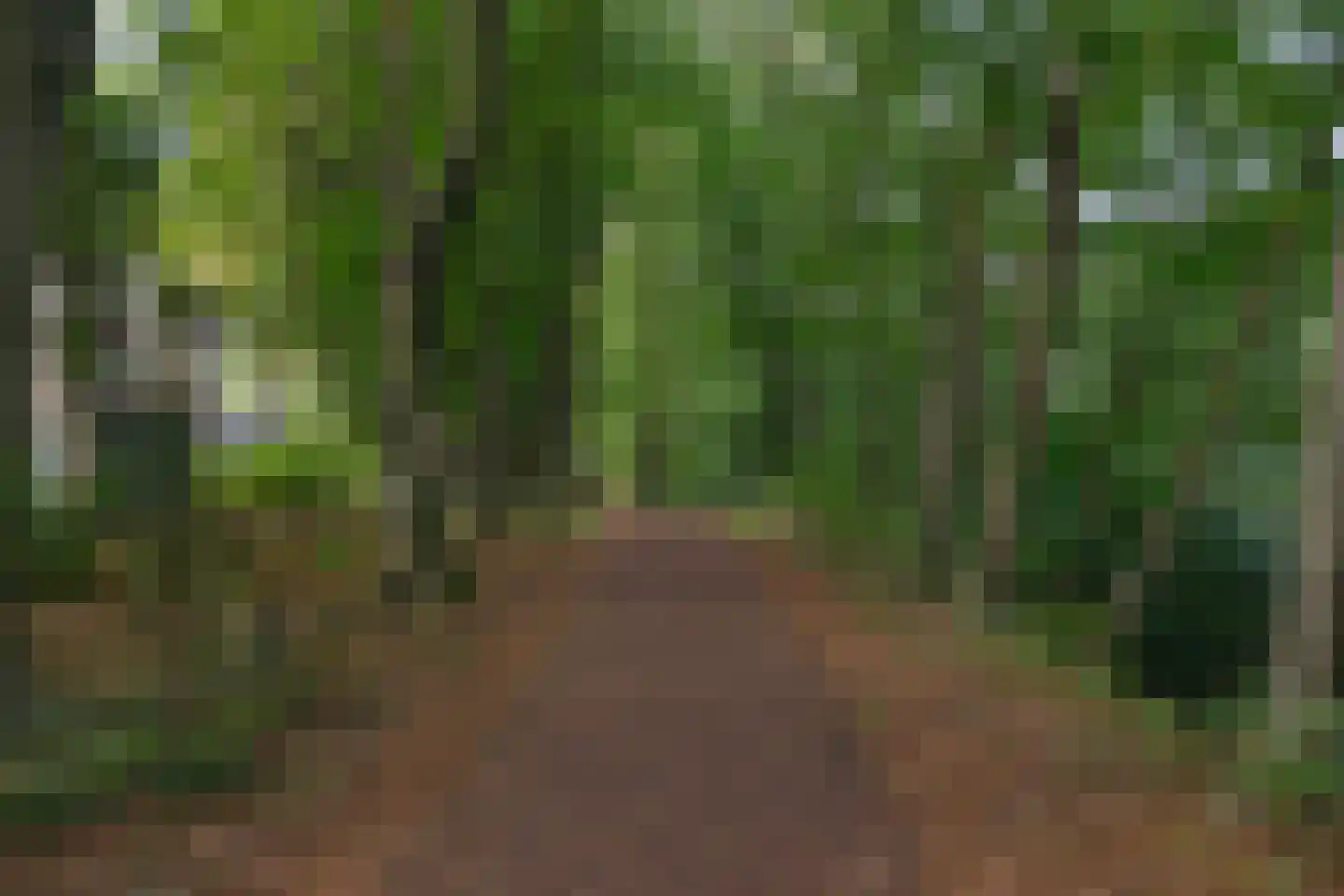 Uytenbosch 14 Baarn thumbnail 33