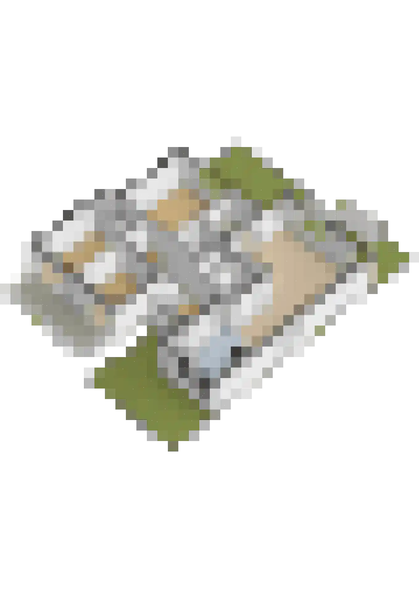Uytenbosch 14 Baarn thumbnail 38