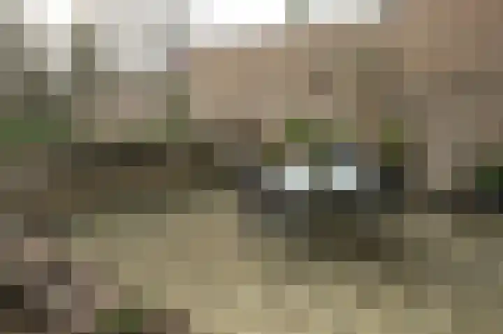 Uytenbosch 17 Baarn thumbnail 20