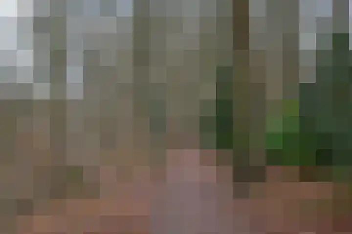 Uytenbosch 17 Baarn thumbnail 27