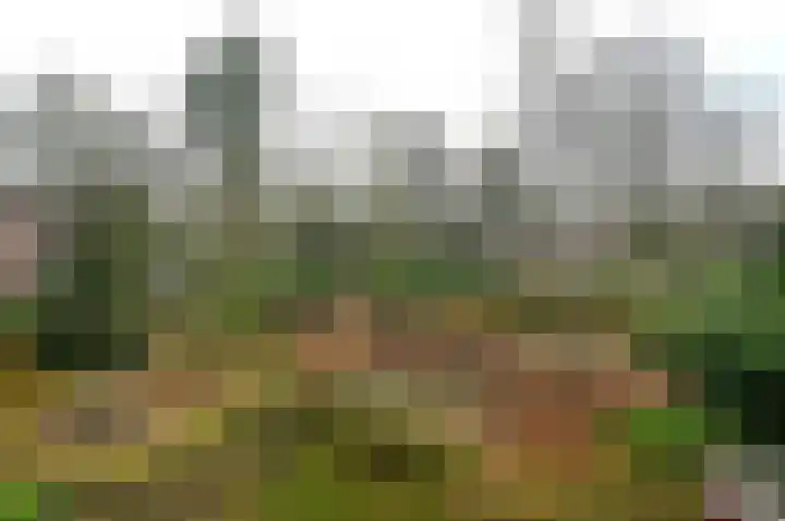 Uytenbosch 17 Baarn thumbnail 4