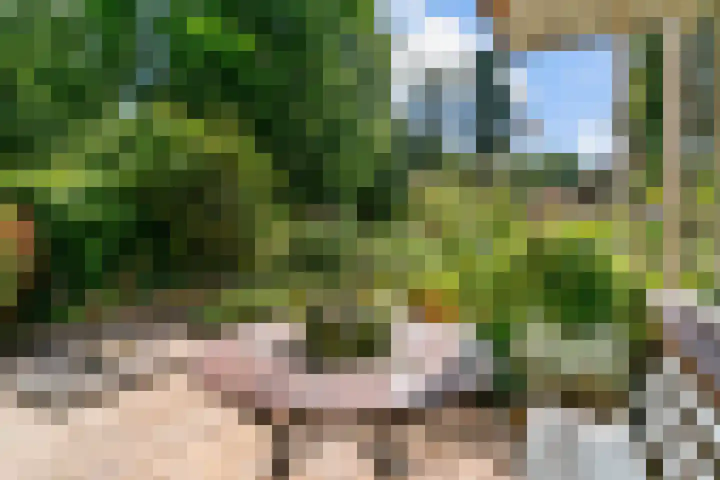 Uytenbosch 33 Baarn thumbnail 30