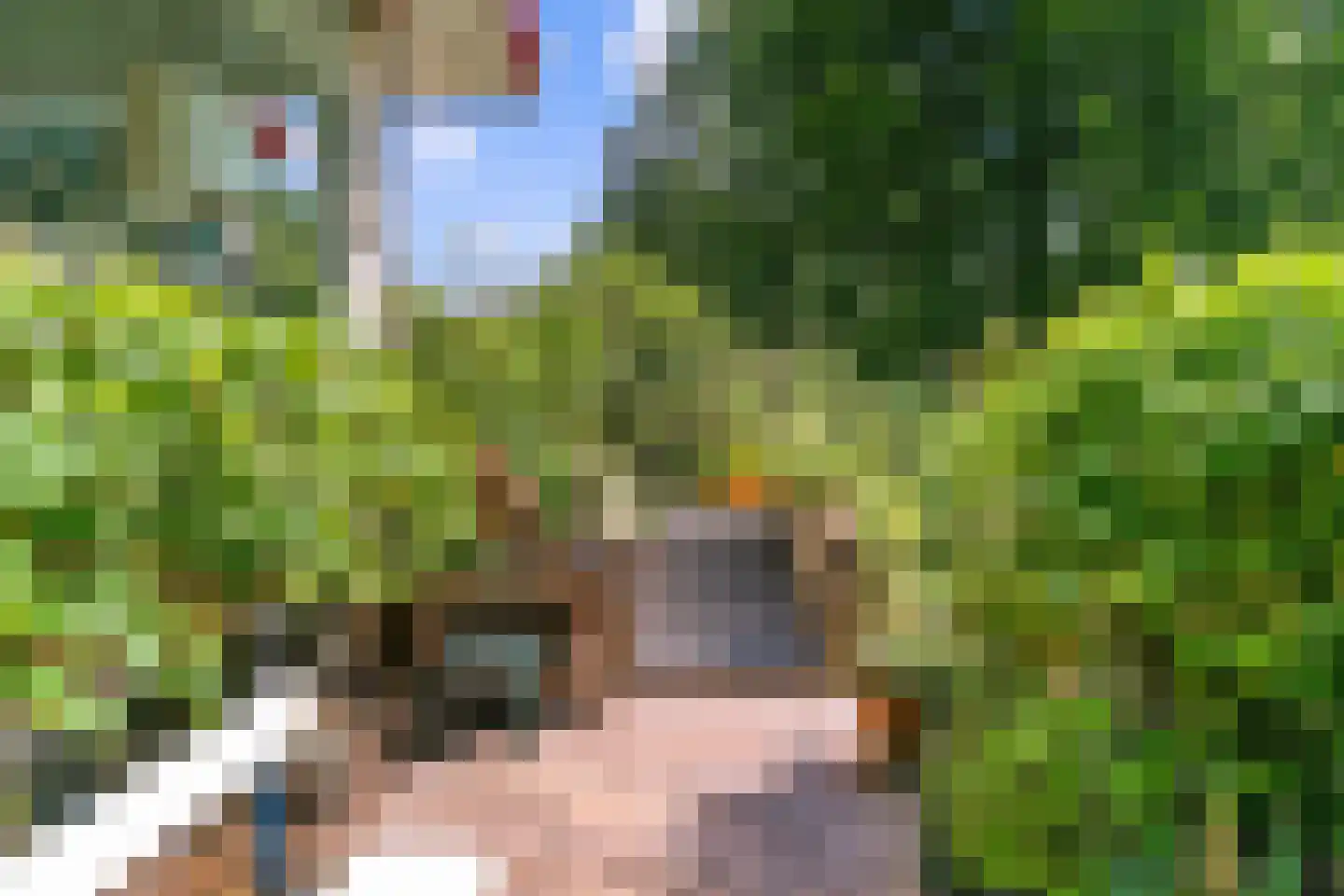 Uytenbosch 33 Baarn thumbnail 34