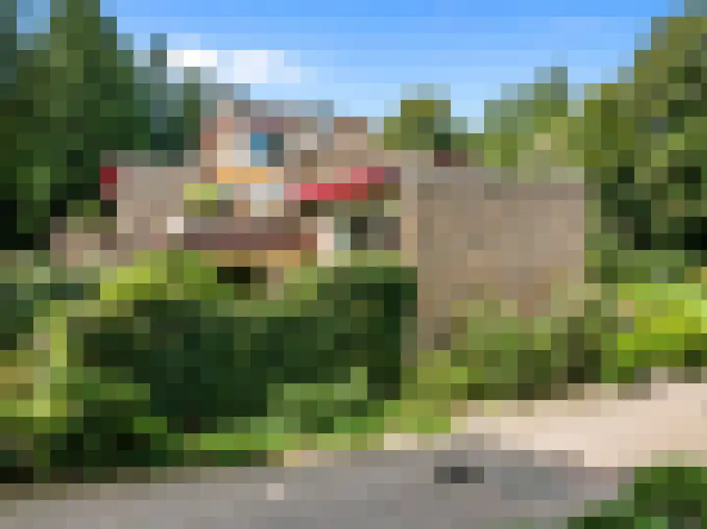 Uytenbosch 33 Baarn thumbnail 36