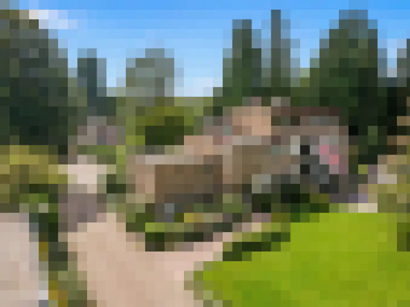 Uytenbosch 33 Baarn thumbnail 37