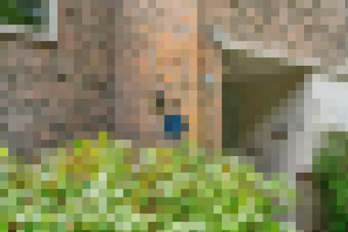 Uytenbosch 33 Baarn thumbnail 6